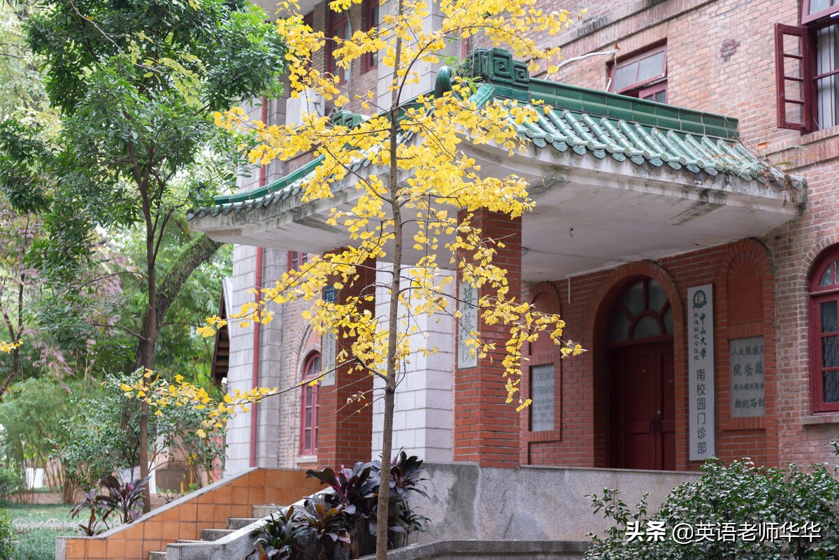 中山大学数学系毕业，考研，还是找工作？