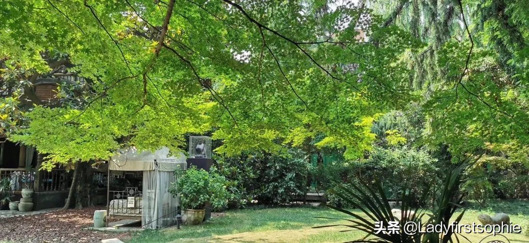 刘亦菲的同款取景地！这家英国领事馆旧址的中式下午茶可太美了