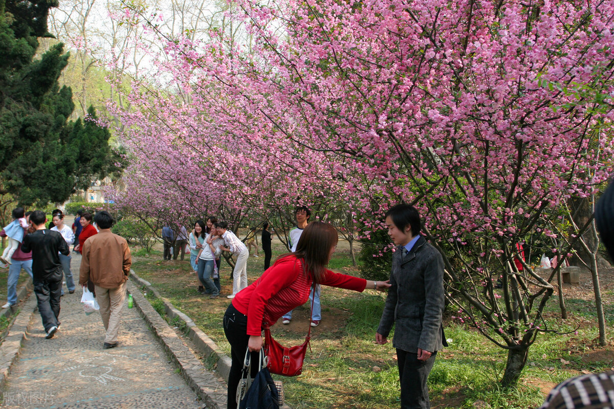 注意！武汉大学2022年艺术类招生计划哪些变化，受益的是谁？