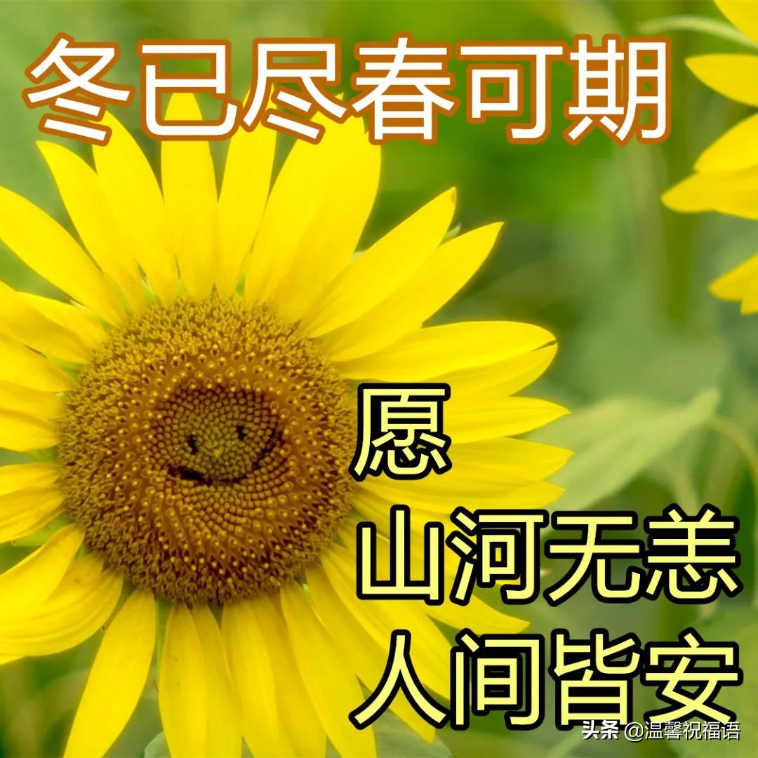 疫情期间祝福暖心的图片 免打字精致走心的春天早安图片