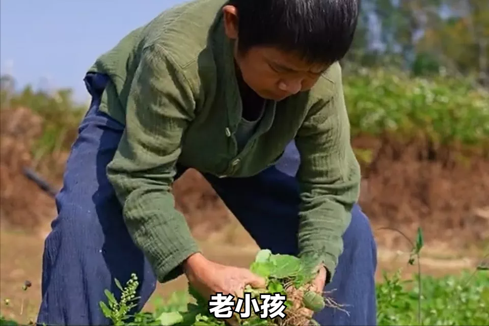 回村创业,却年赚千万!中国最土网红爆火,谁是背后推手?
