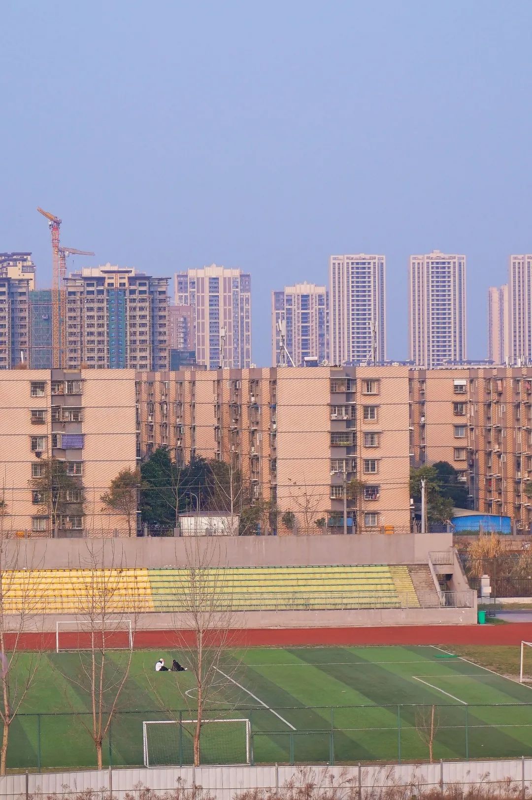 花满校园，春日也温柔