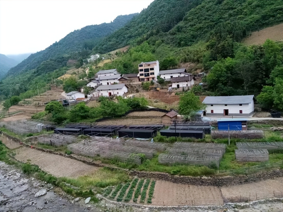 点亮乡村振兴的每一盏灯 湖北省竹山县市场监管局在行动