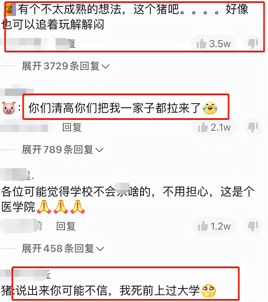 吉林白医专封校，校领导给学生买十几头活猪，各专业学生调侃走红