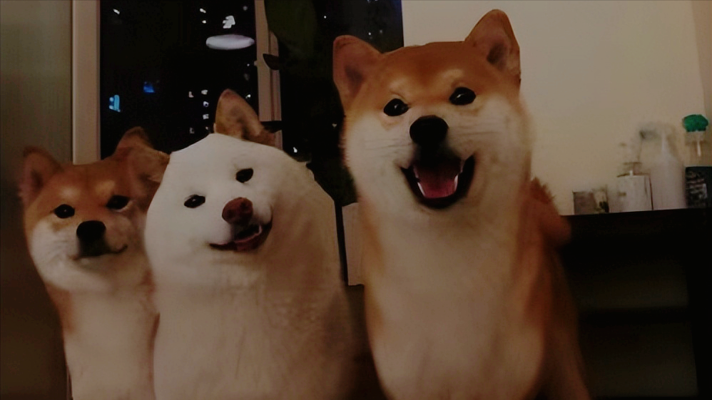 100句霸气高冷的语句