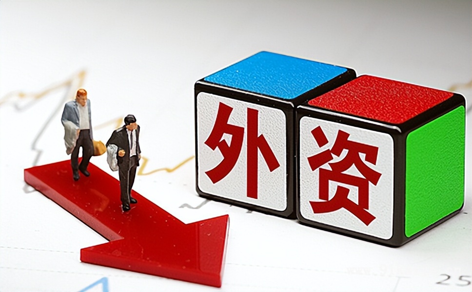 注册分公司需要什么资料（外资企业分公司的设立需要提交什么材料）