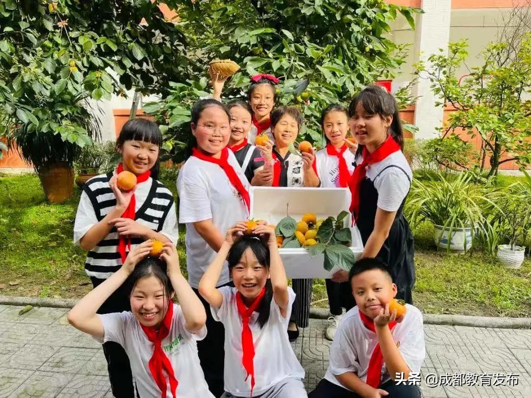 成都又获教育部点赞！这次是为啥？