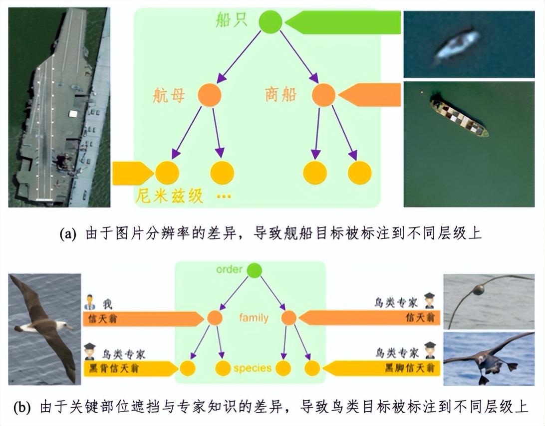 浙大、蚂蚁集团提出基于标签关系树的层级残差多粒度分类网络