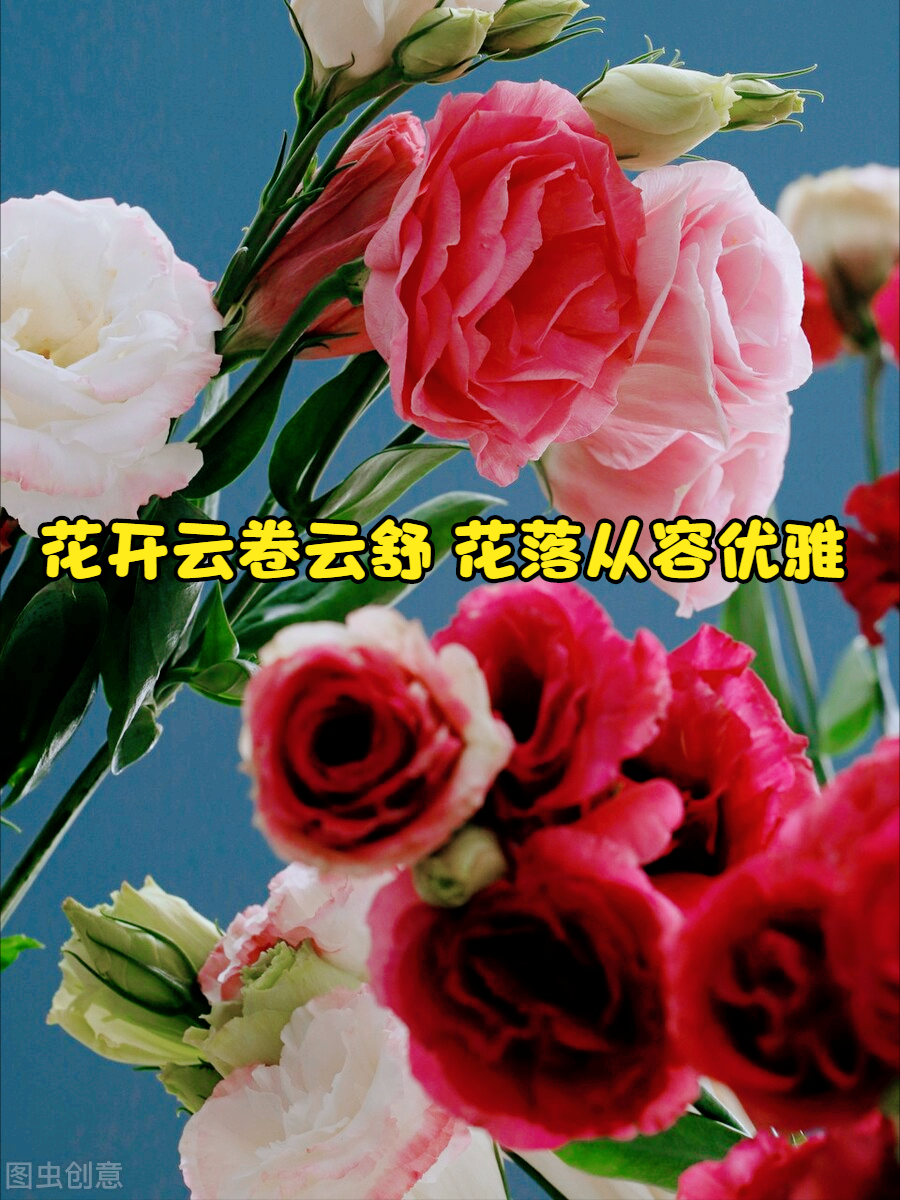 一花一欢喜，万千春花开，花开忆相思，与花一场爱，深爱到永远