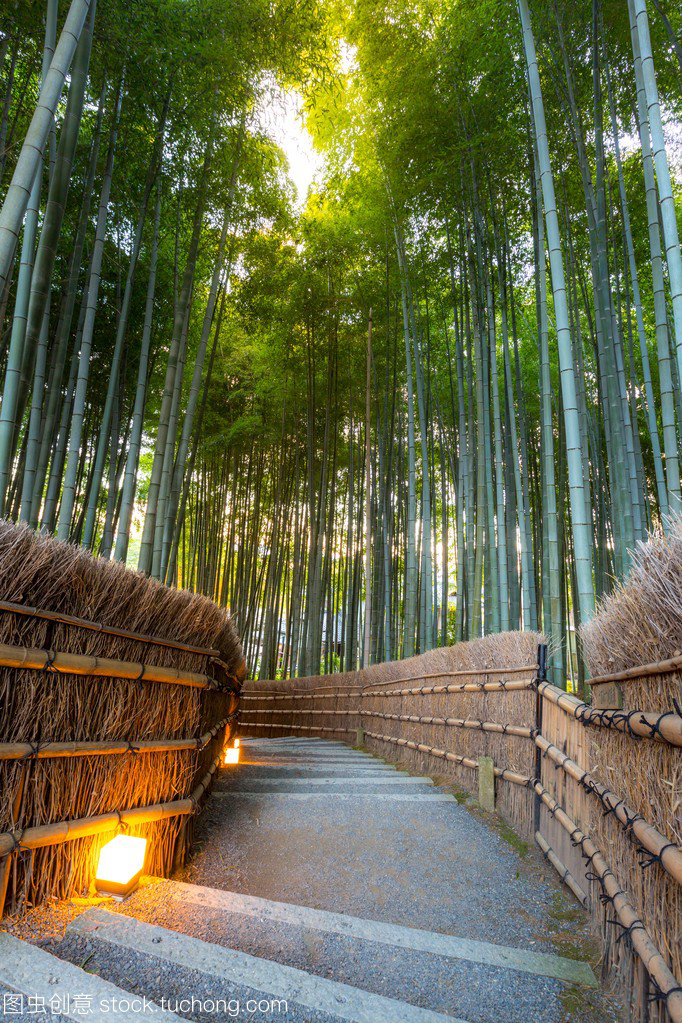 日本顶级旅行体验