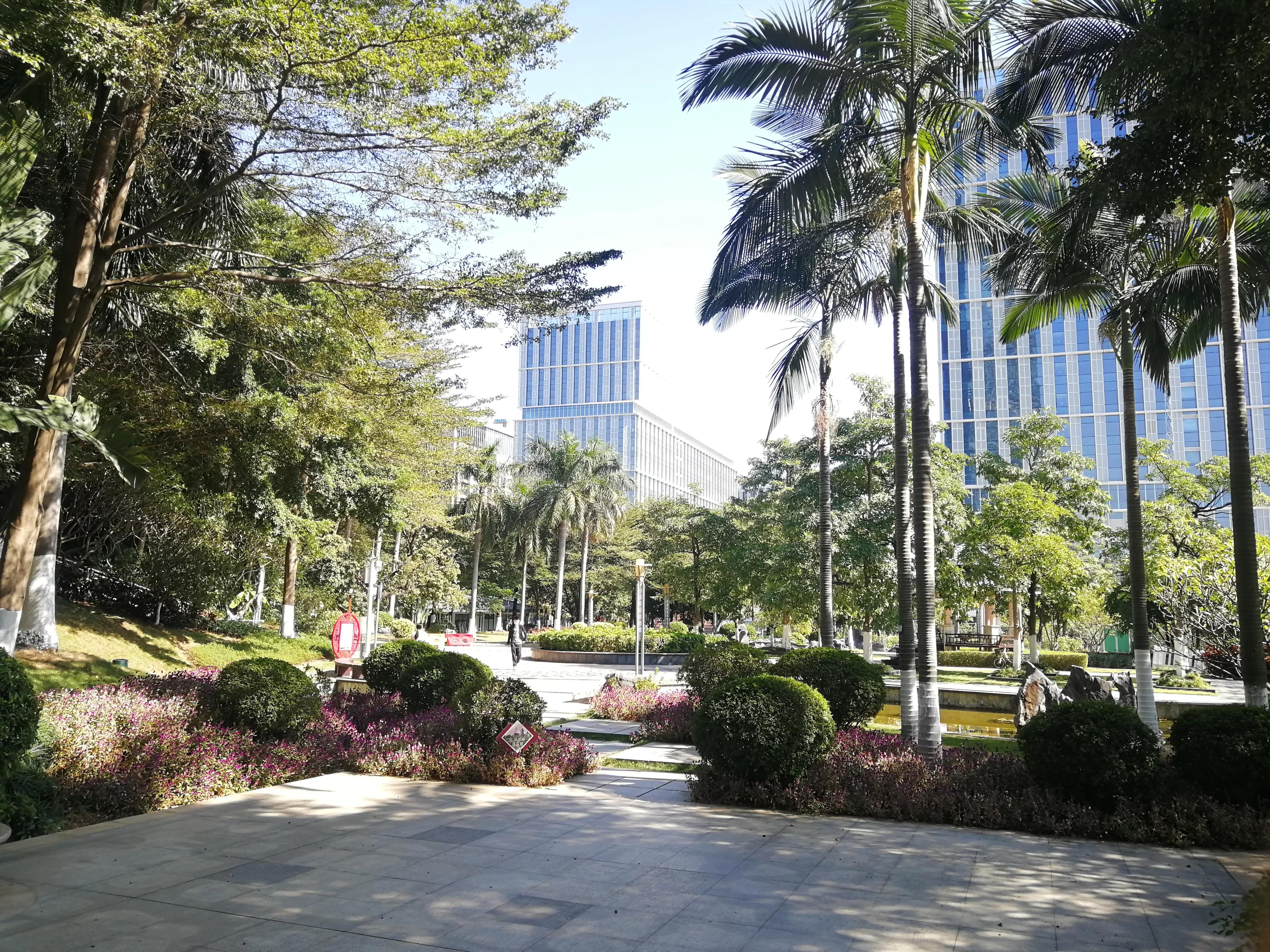 地铁4号线大学城游玩攻略，领略那不一样的广州大学城风光（C篇）