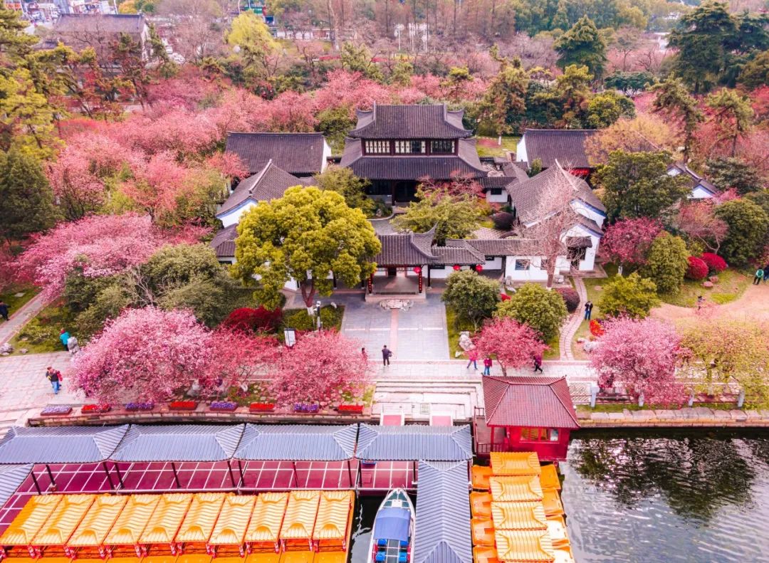 10首清明诗词，落花飞絮，春意阑珊，最美人间四月天