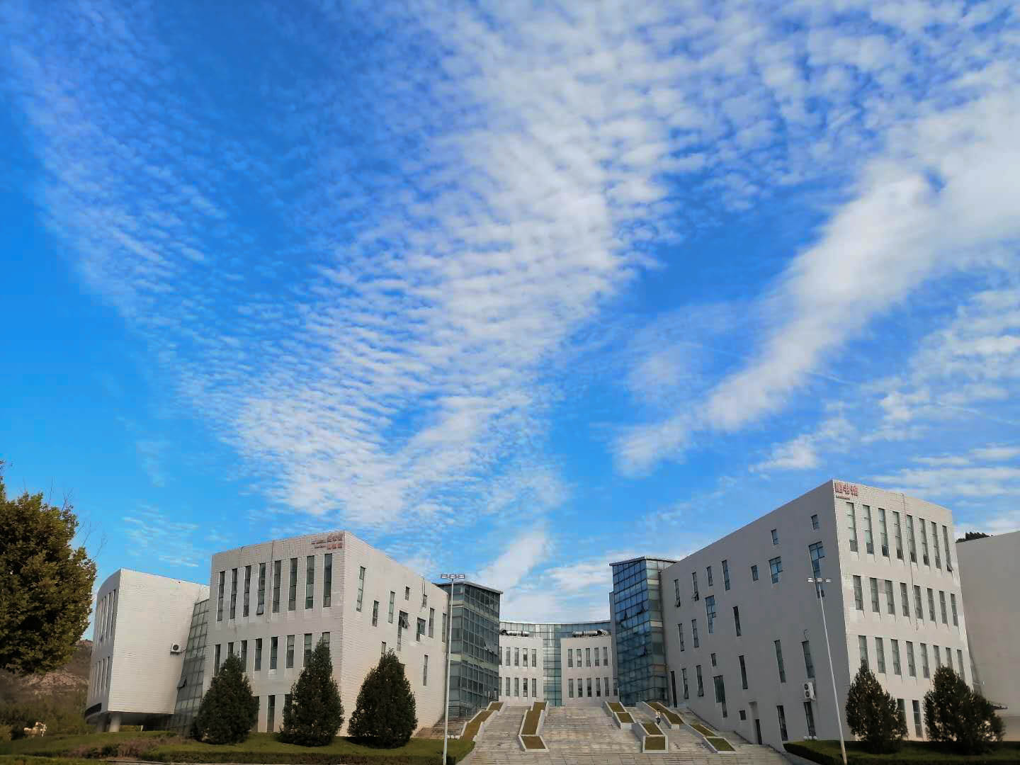 2022山东艺术学院计划招生1916人，其中山东省外565人，略增29人