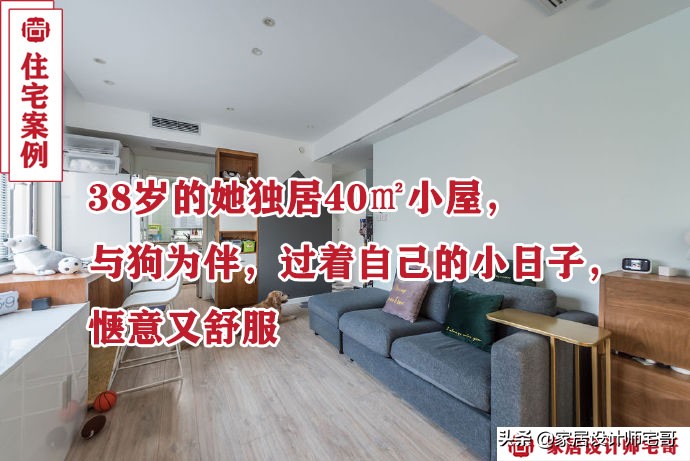 38岁小姐姐的独居生活：住40㎡小窝，与狗为伴，生活惬意又舒服