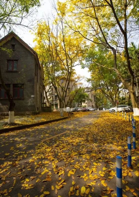 重大的春天，就是不一样