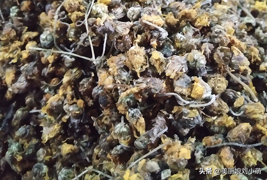 上了年紀不能喝菊花茶不能喝菊花茶的人