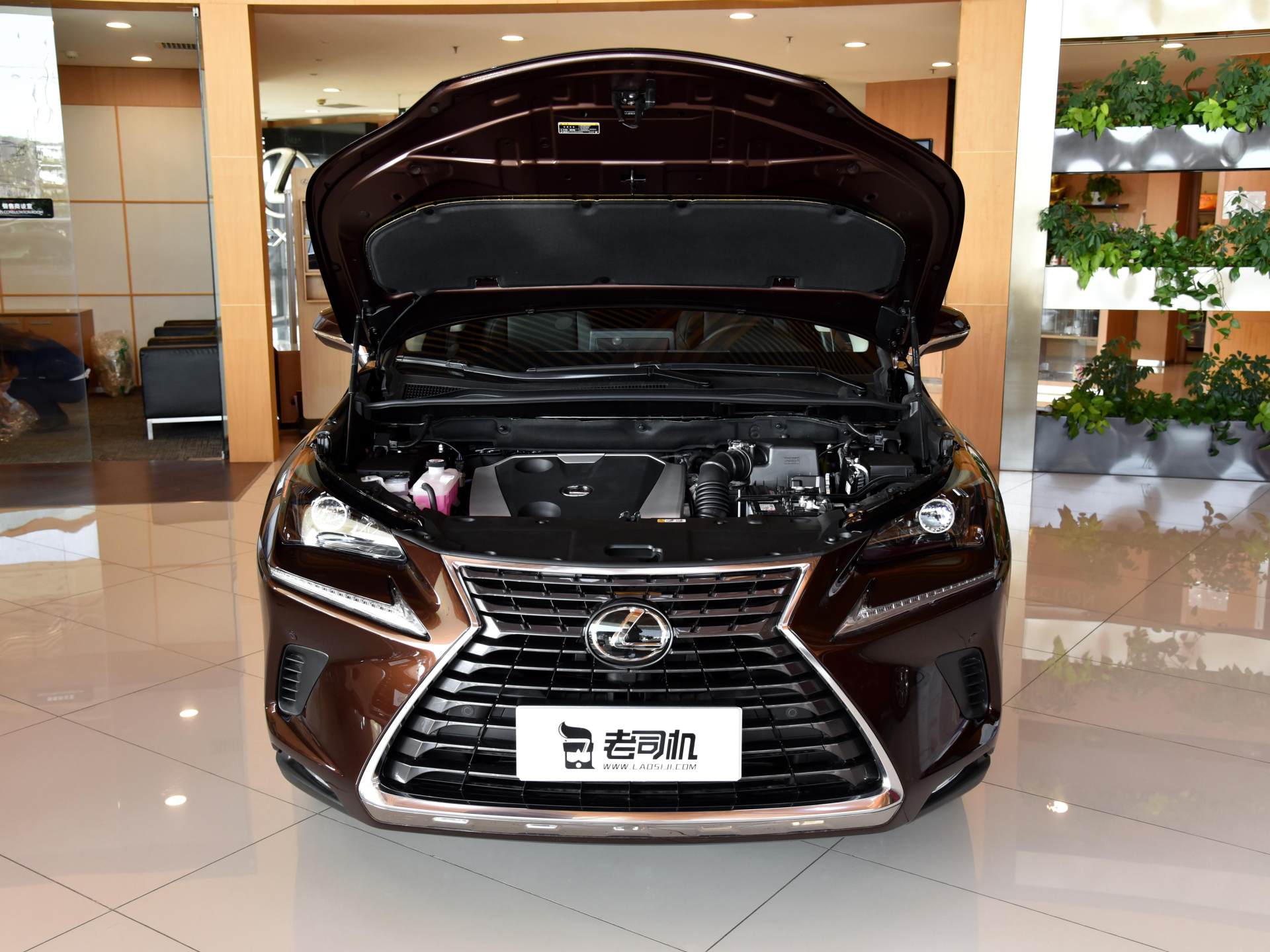 原装进口的中型SUV，油耗低价格实惠，实拍雷克萨斯NX