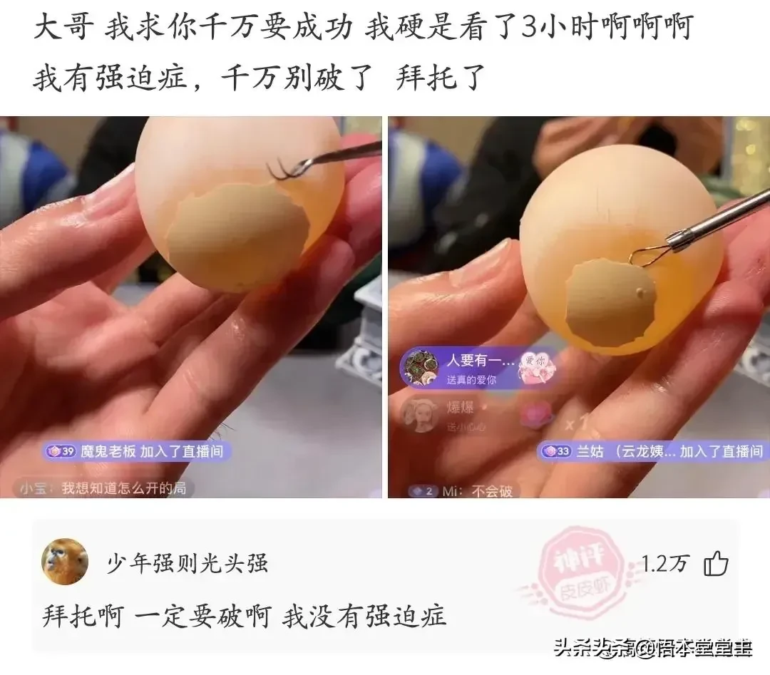 搞笑聊天：王大爷这次找对律师了