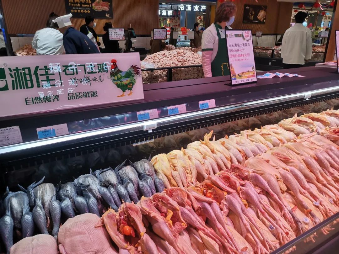 һ����̽���������̳�������������Ӫ��Ӫ+�ֳ�