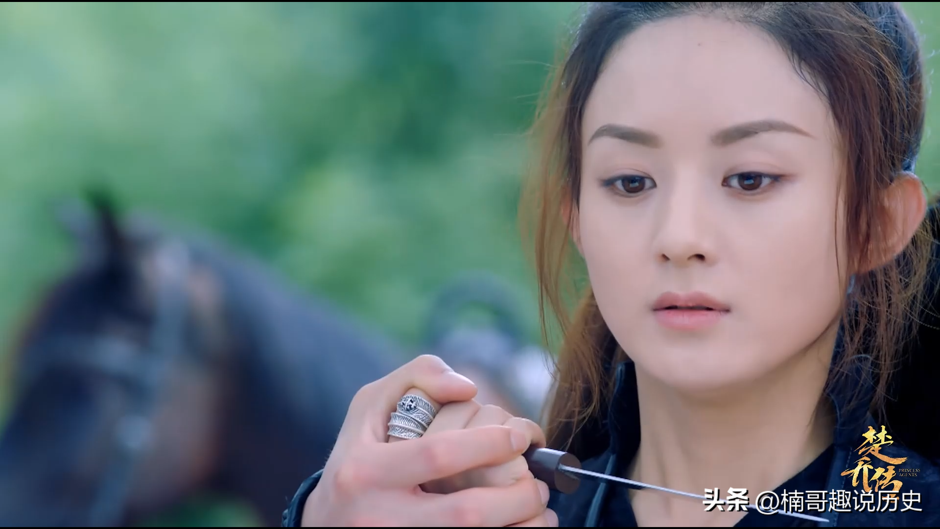 楚乔的历史原型真的是罪奴皇妃！并且和杨坚、独孤伽罗是亲家关系