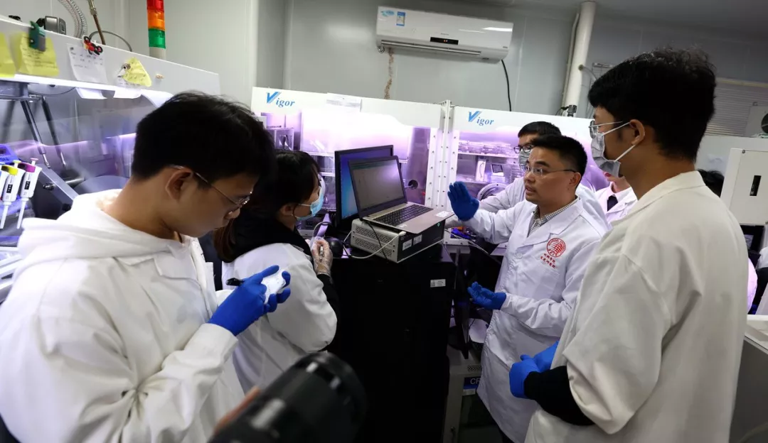 华侨大学与多伦多大学合作助力绿光LED,外量子效率突破25%