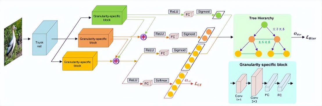 浙大、蚂蚁集团提出基于标签关系树的层级残差多粒度分类网络