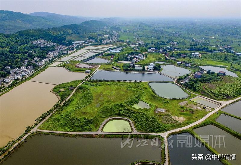 创建天府旅游名县｜隆昌市群乐村：绿色产业助推乡村发展