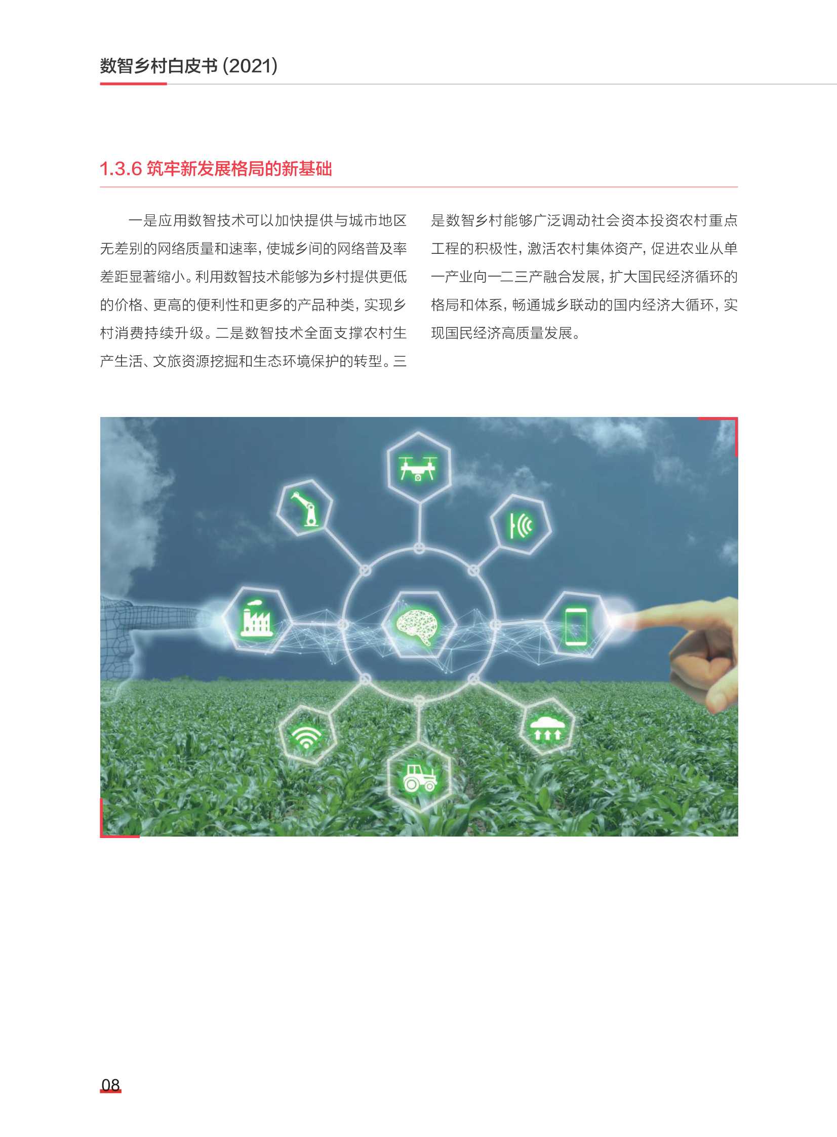 2021数智乡村白皮书（中国社科院）