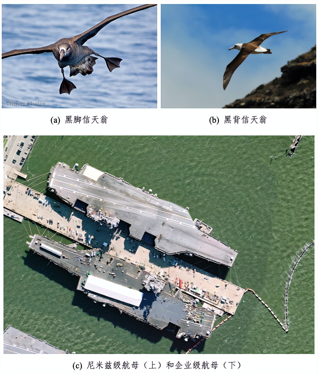 浙大、蚂蚁集团提出基于标签关系树的层级残差多粒度分类网络