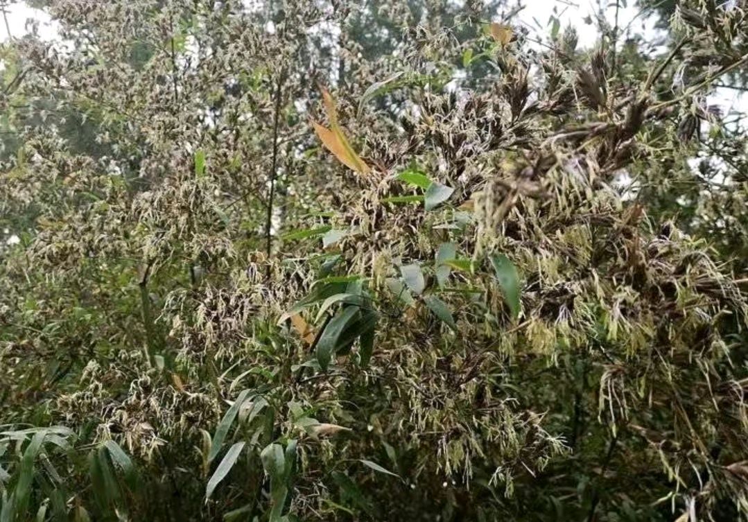 ɽ��������&ldquo;���ӿ���&rdquo;���������������������ı�����