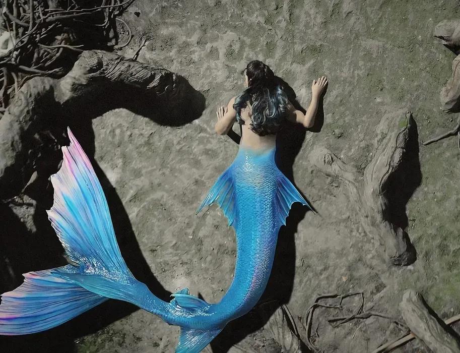 《与君初相识》顺德真的是恋爱脑吗？她的城府之深 仙师都未有丝毫察觉