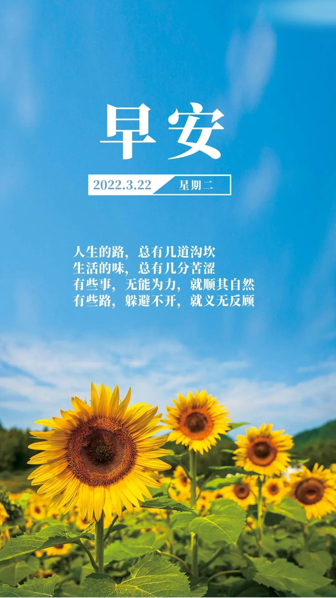 「2022.03.22」早安心语，正能量文案短句，漂亮正能量祝福语图片