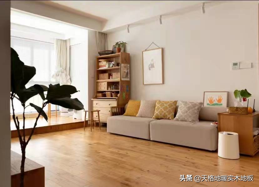 天格：家里铺木地板什么颜色好看？来看看《梦想改造家》如何选择