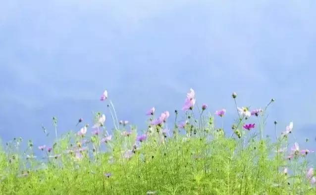 ����Ԥ��������4��5�������ڣ�������ɶ˵����������ũ����Ԥ��