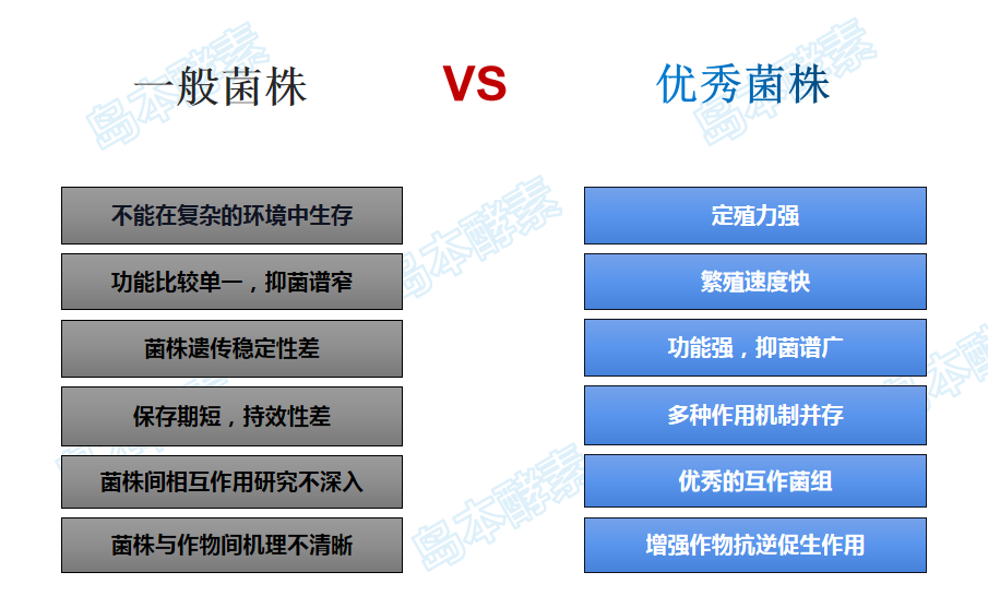 為什么說菌種的來源與功效密切相關(guān)