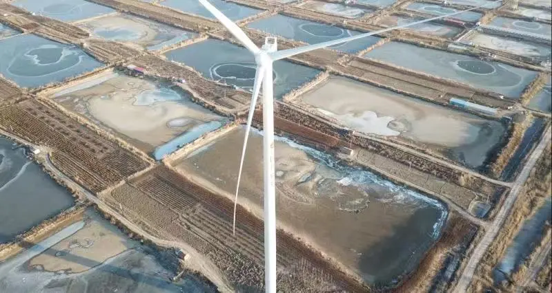 绿动未来在津首个绿地开发风电项目正式并网发电