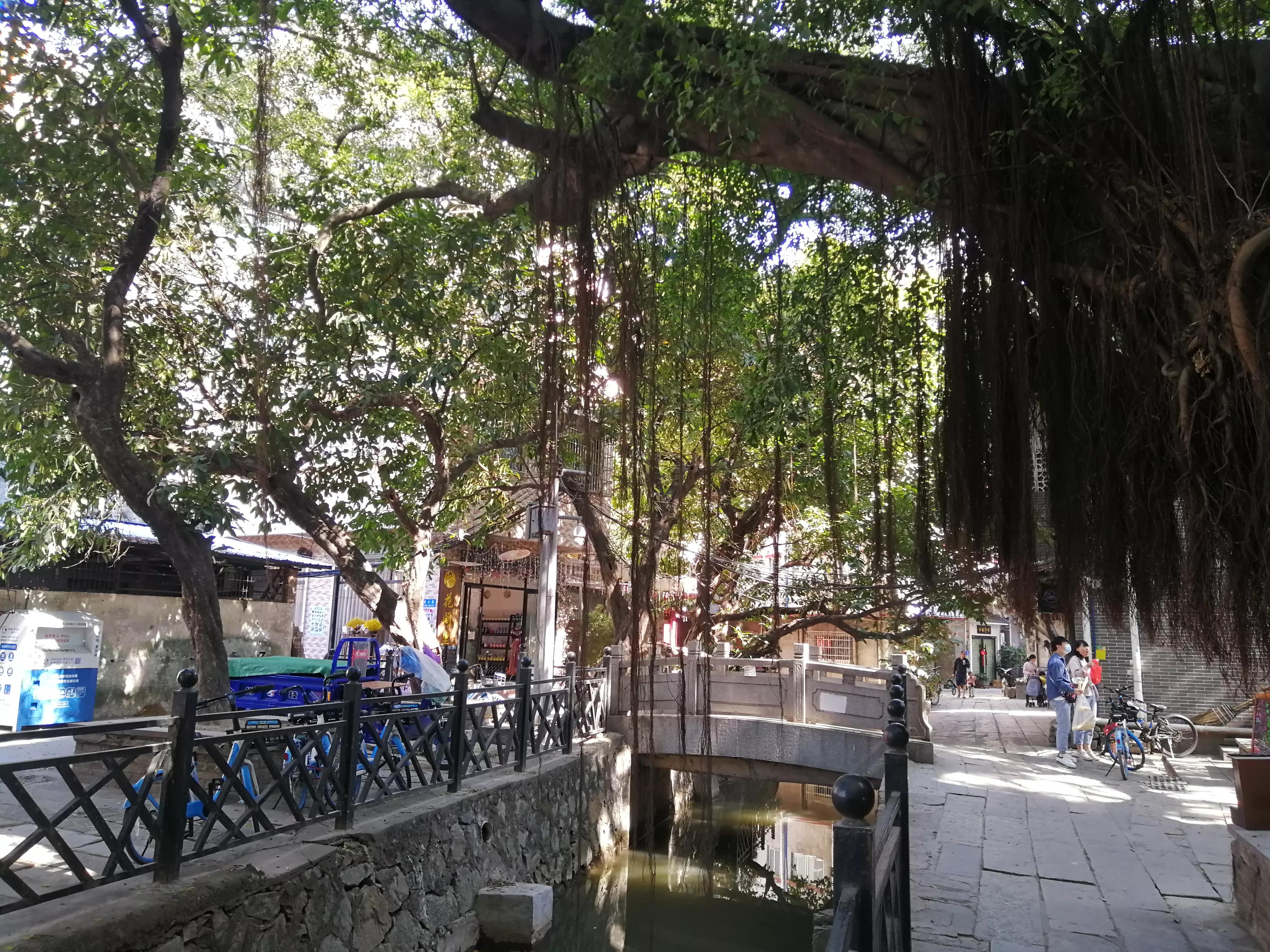 地铁4号线大学城游玩攻略，领略那不一样的广州大学城风光（C篇）