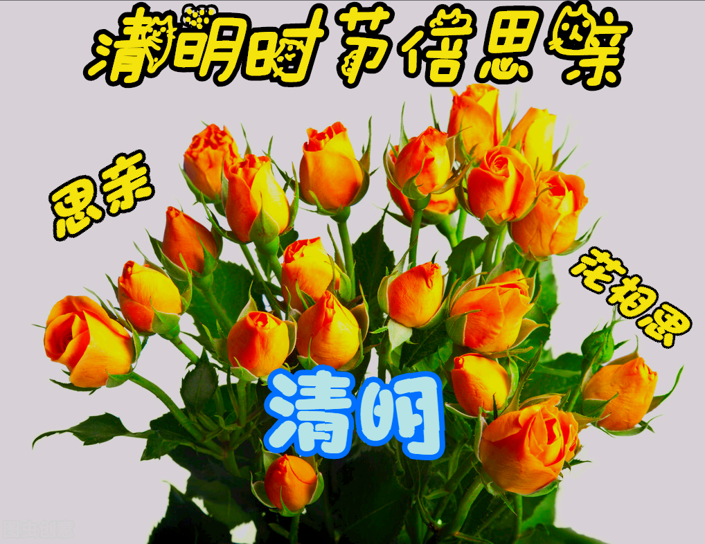 一花一相思,清明时节倍思亲,千思万念花缅怀,扫墓感恩忆亲人