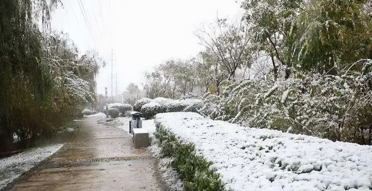 大范围雨雪将启动，南方也会天降大雪？看看形成下雪的原因就知道