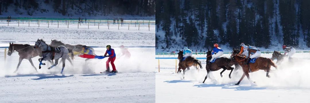 2020奥运会增加了哪些项目(奔马滑雪、狗拉雪橇……这些项目竟然进过冬奥会)