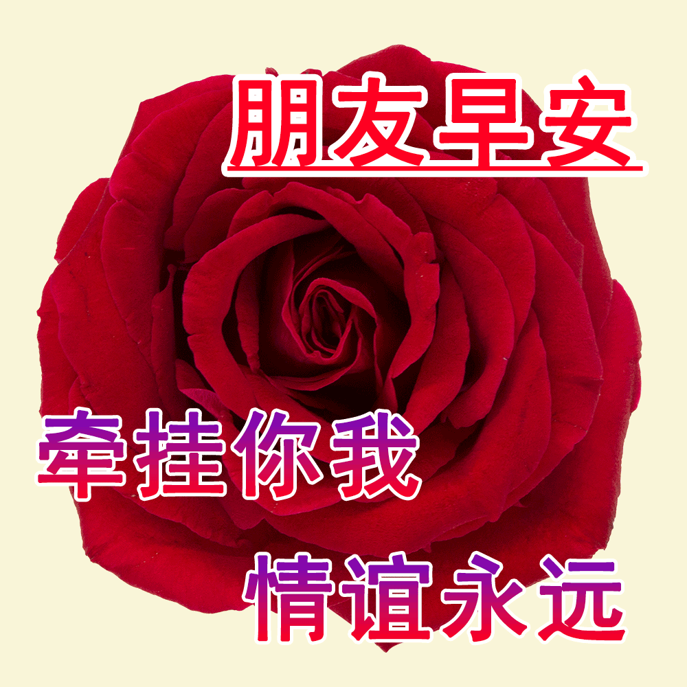 早上好新版2022早上好祝福语图片