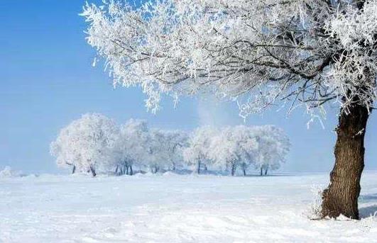 2022东北地区大学排名出炉，哈工大惜败无缘榜首，第四名存有争议