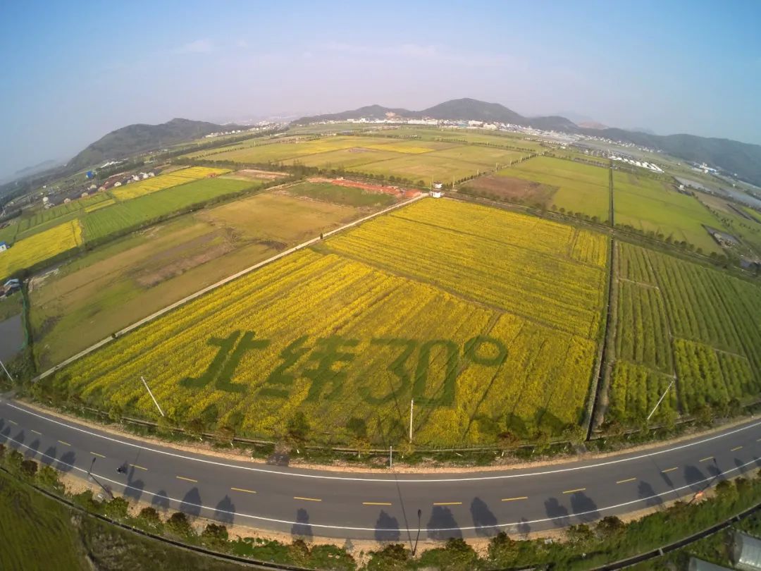 芳菲四月，花“漾”舟山，这份全岛赏花攻略 踏春路线请收好~