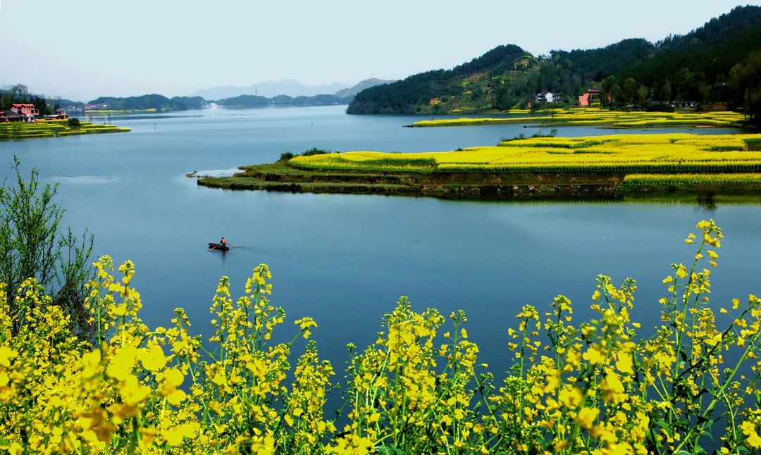 重磅！2022中國(guó)最美油菜花海漢中旅游文化節(jié)最全優(yōu)惠政策來啦！