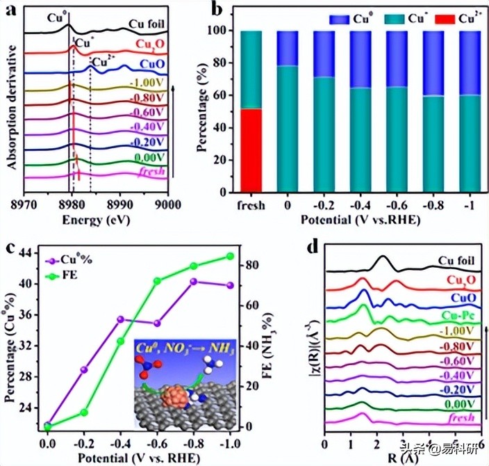 JACS | 大化所王爱琴，刘伟，杨小峰&厦门大学李剑锋团队研究进展