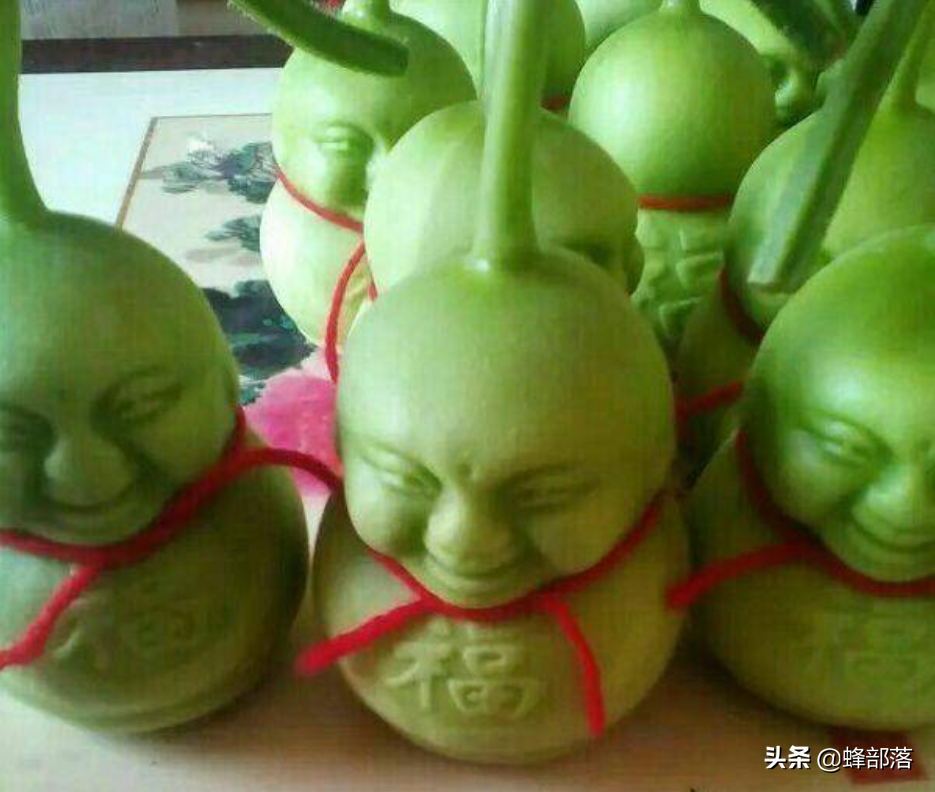 人參果樹苗批發,人參果樹苗批發價格