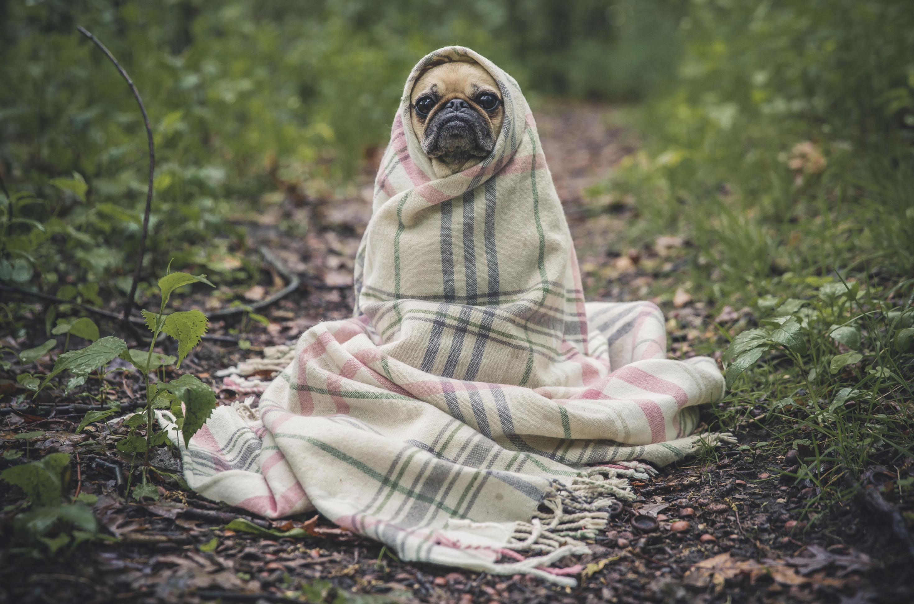 2022自律计划：成长需要做好这10件事