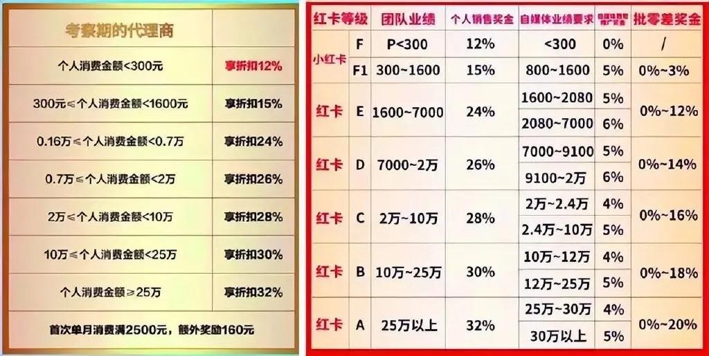 张庭是如何忽悠二胎宝妈，建立300亿传销帝国的？