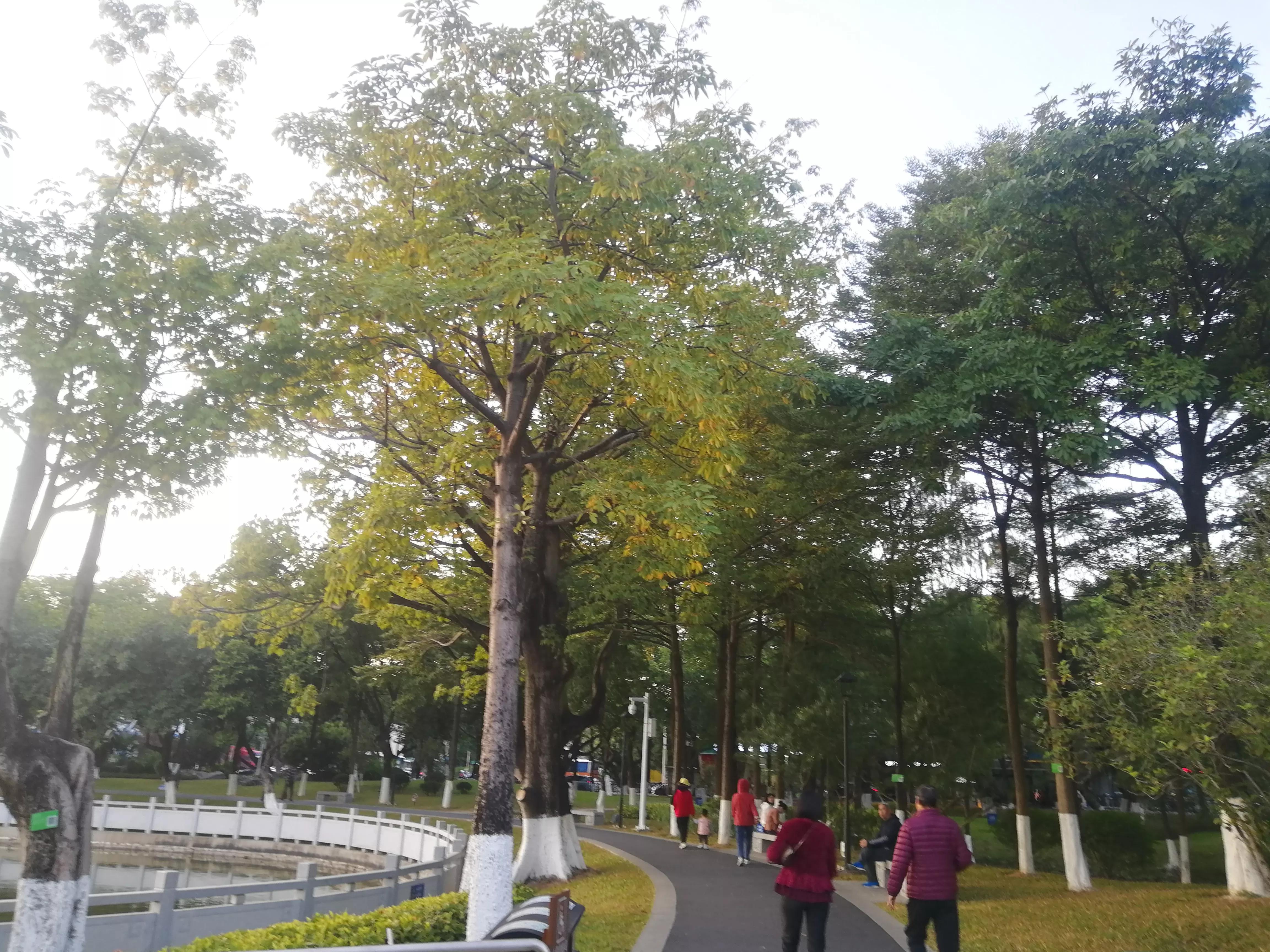 地铁4号线大学城周边游玩攻略，领悟独一无二的长洲岛景象（D篇）