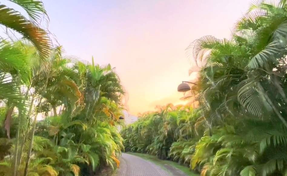 美貌才华并存的10所大学（下），中山大学、清华、湖南大学皆上榜